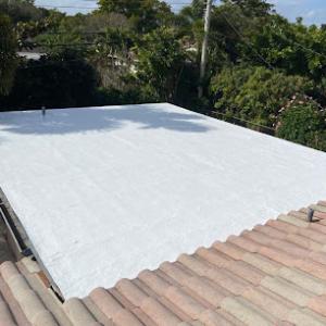 Platform Roofing