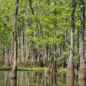 M&M Roofing, Siding & Windows - Lake Charles