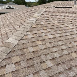 Florida Forever Roofing & Restoration