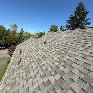 Roofscapes NW