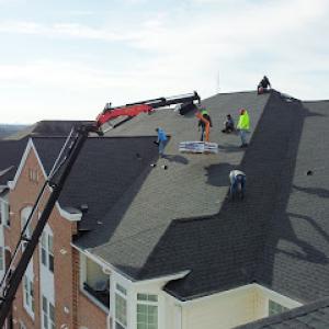 Alternative Roofing