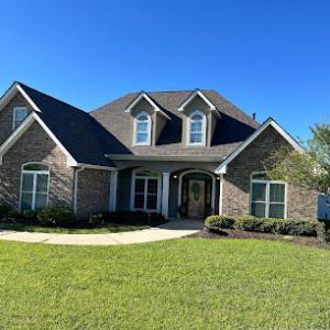 Gator Roofing & Restoration