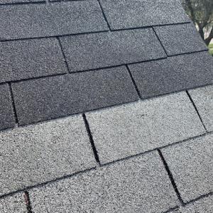 Paint A Roof