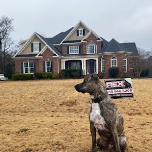 Rex Construction