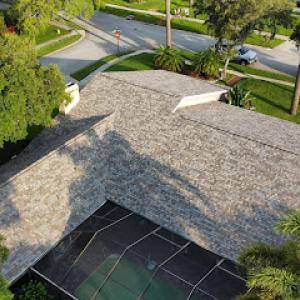 Roof Bear