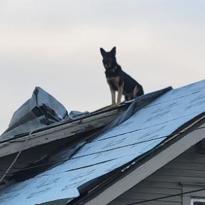 Lyons Construction & Roofing