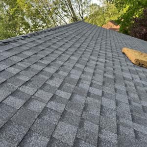 Top Dog Pro Exteriors
