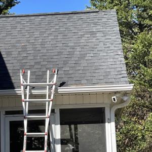 Rave Roofing & Renovations