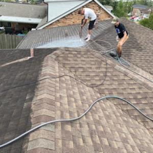 Roof Repair & Leak Experts Plus - Nola