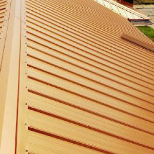 Security Roofing & General Constructor