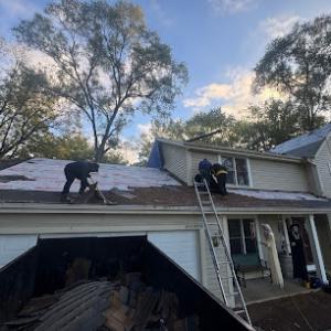 Rexx Roofing