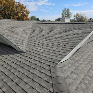 Willow Exterior Renovation & Construction