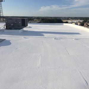 Nevada Roofing Division