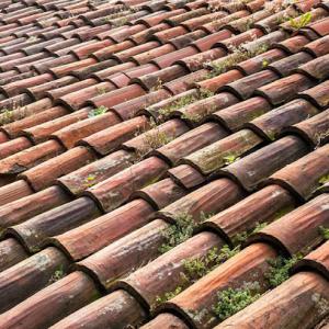 Roofers of Rome