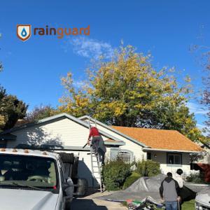 Rainguard Roofing