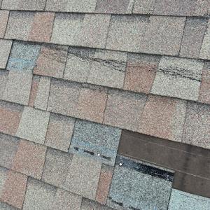 Reinhardt Roof Repair