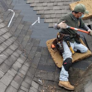The Roof Leak Detective