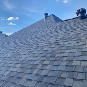 Action Roofing