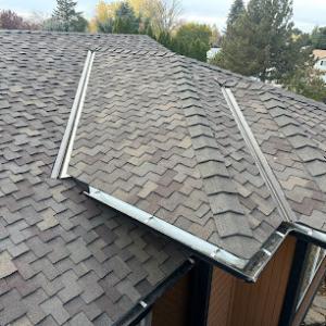 Blue Goat Roofing