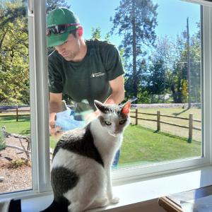 Oregon Roof & Window Service
