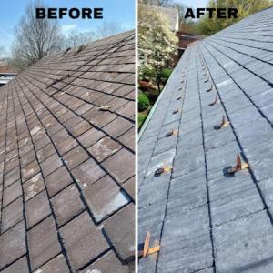Springfield Roofing