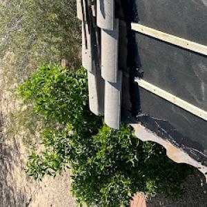 Roofing Repair Specialist