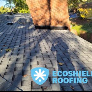 EcoShield Roofing