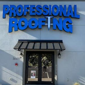 Professional Roofing