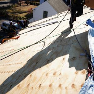 Leo & Sons Contracting