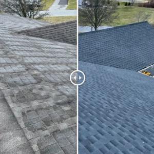 Pearson Roofing