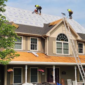 Blue Rhino Roofs