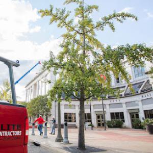 Elite Contractors