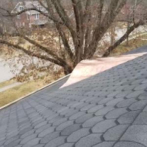 Absolute Roofing & Exteriors