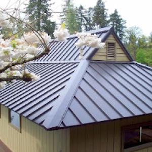 Raptor Roofing