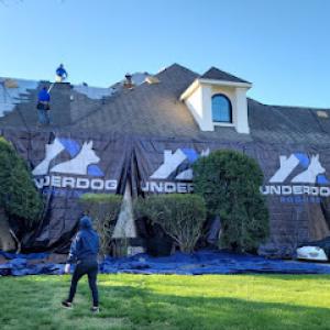 Underdog Roofing