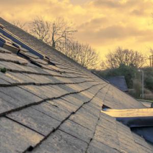 Morning Light Roof Repair