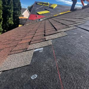 Hornet Roofing & Exteriors