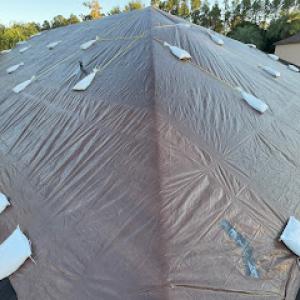 Roof Tarp Now