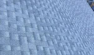 Lionshield Roofing Company