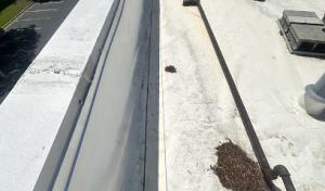 MS roofing