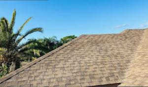 George & Sons Roof Architecture