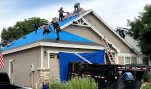Blue Spruce Construction Group