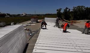 Alpha Roofing Services