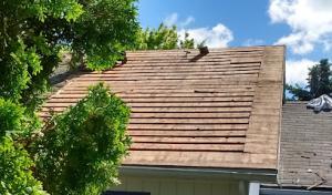 Dreamroofs
