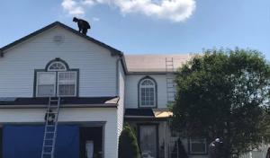 Nailed It Roofing & Restoration