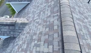Castro Roofing DMV