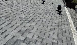 Economy Roofing