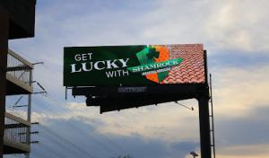 Shamrock Roofing Services
