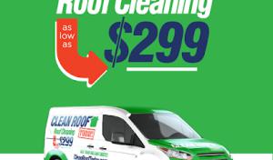 Clean Roof Today