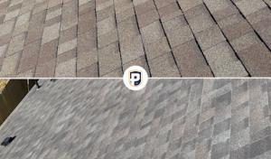 Petrali Roofing - Central